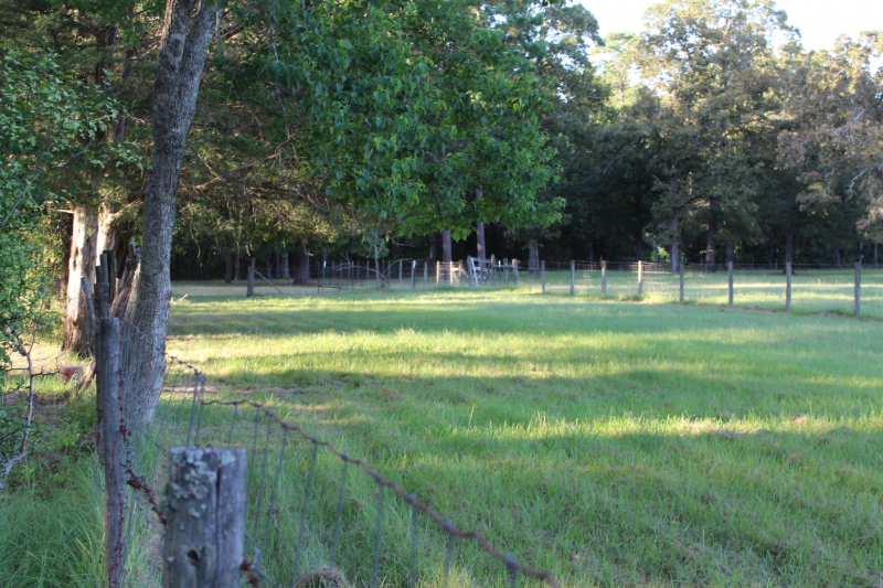 Back & Side Pastures Fenced/x-fenced