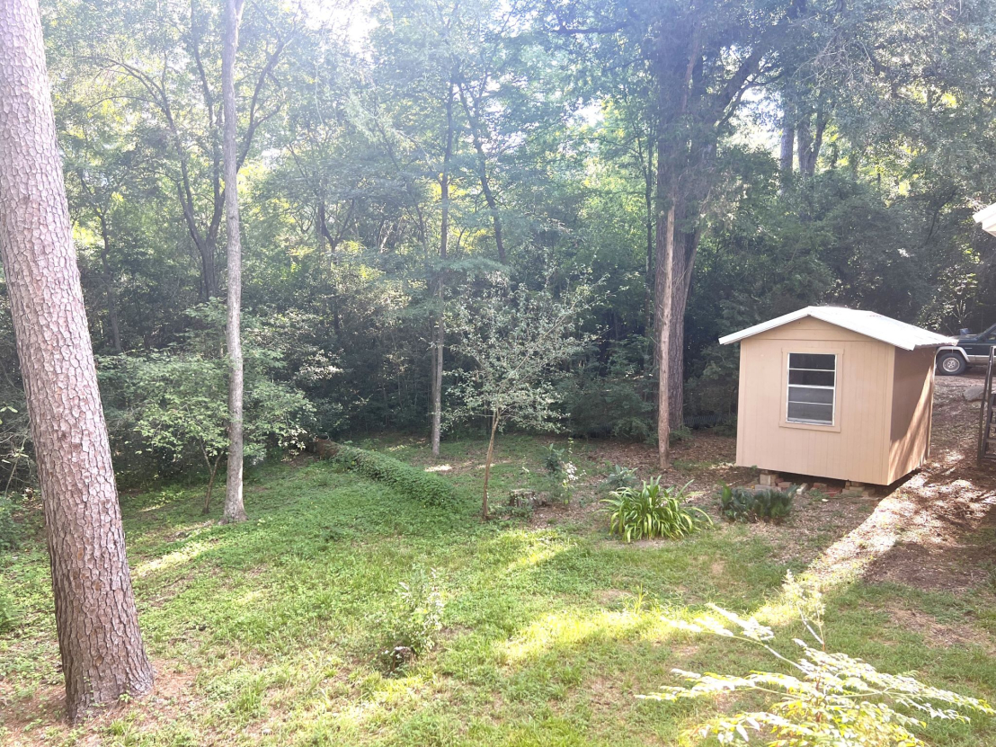 Shed, Garden Space. Rainwater collection Cistern Tank by shed.