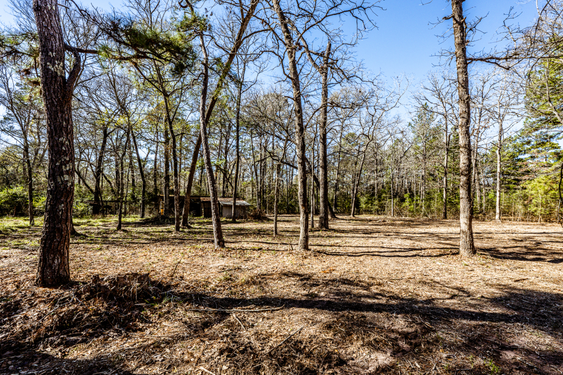 Underbrush lot