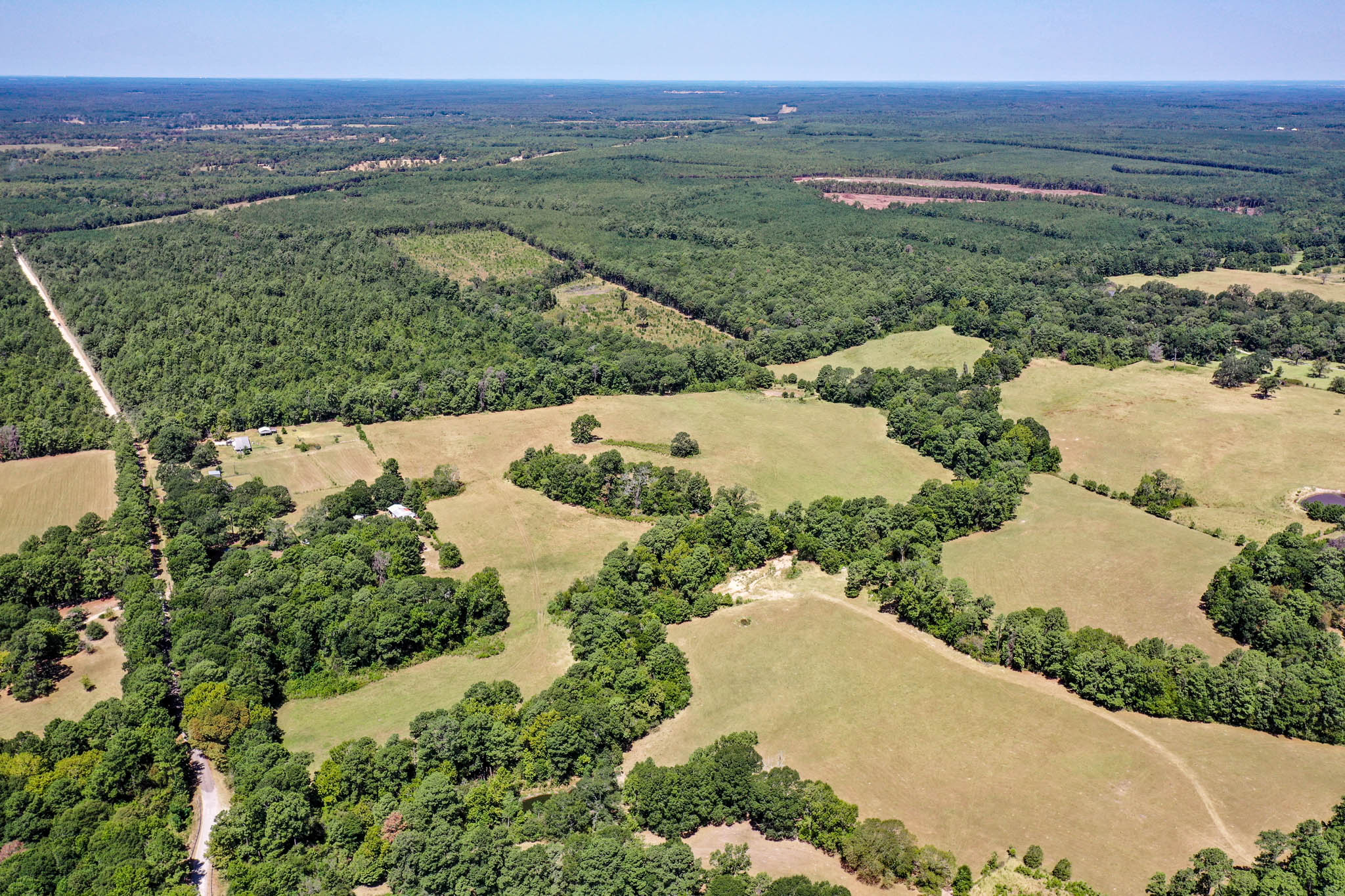 90.44 Acres Willow Springs Rd<br>Coldspring, TX 77331